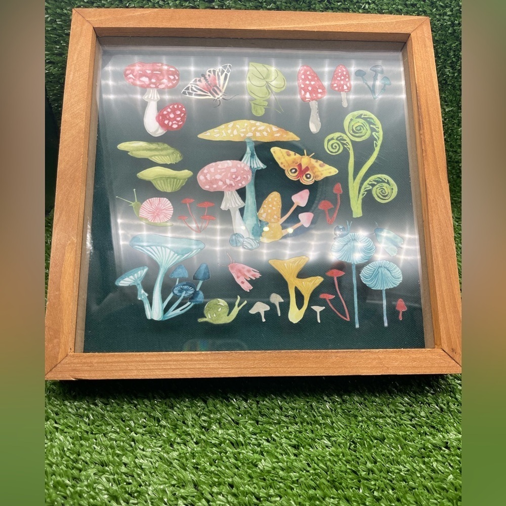 Framed Mushroom Wall Art, 12x12, NWT